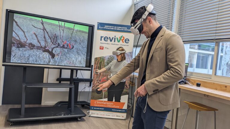 Guillaume Araguas taille en réalité virtuelle un cep de vigne.